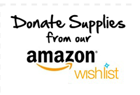 Our Amazon Wish List